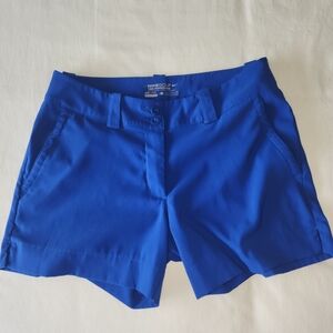 Nike Blue Bermudas Athletic Shorts